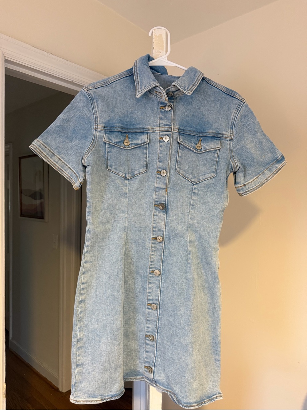 Zara Light Blue Denim Button-Front Mini Dress